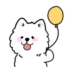 Cute dog samoyed-kun