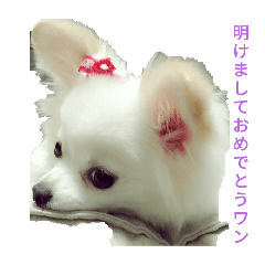 冬シリーズ犬スタンプ