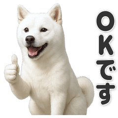 【敬語】使いやすい！紀州犬