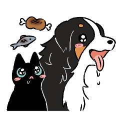 犬猫（バーニーズと黒猫）