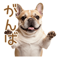 褒めて励ます♪もちもちフレブル