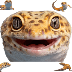 ヒョウモントカゲモドキ　実写