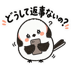 連絡を待つシマエナガ