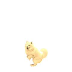 【小セピ】サモエド