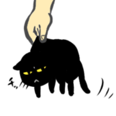 真っ黒な黒ネコ６