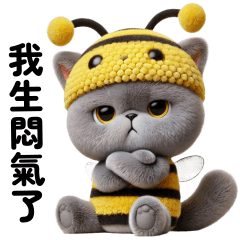 Cat Bee so cute (TW)