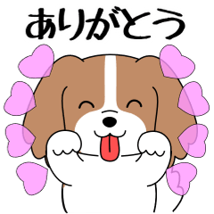 飛び出す！コーイケルの日常挨拶