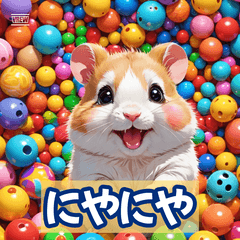 ハムスタームード！