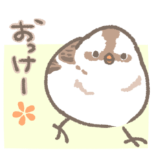野鳥の子