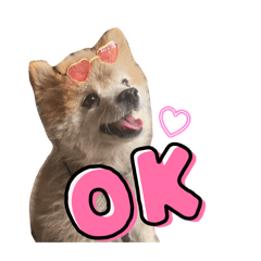 ベータにまかせろっ