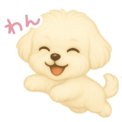 わんで伝えるマルチーズ JP