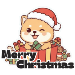 冬&クリスマス♡LOVE柴犬