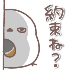 シマエナガさん♥️家族で使える連絡用2