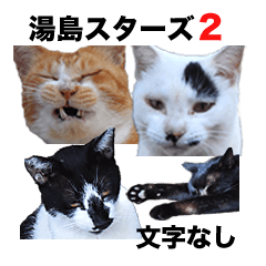 湯島スターズ２＠熊日猫島（文字なし）