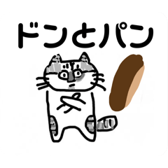 ドンちゃんの日常