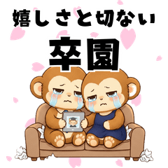 もこざるファミリー：卒園編 第1弾