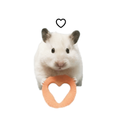 ぽるぽるハムスター