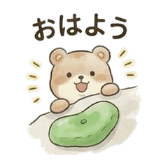 ボルダリングくま