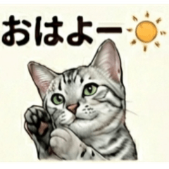猫 - エジプシャンマウ - 1