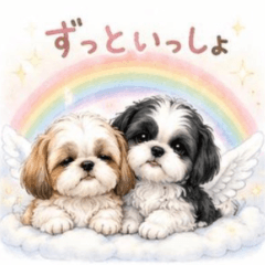 ねむねむシーズーふたり編