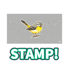 Yellow Wagtail