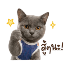 Neoon_20260501143140