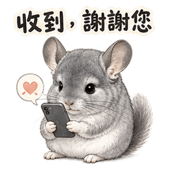 Cute Chinchilla Teacher: Polite Replies
