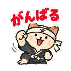 武者修行猫
