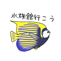 お魚図鑑(タテジマキンチャクダイ)