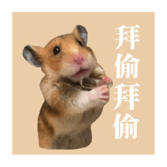 Wenny_20220907060121