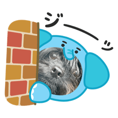 こっちゃんスタンプだらけ