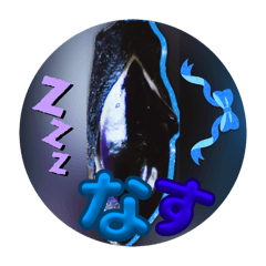 残り物には福がある可能性2