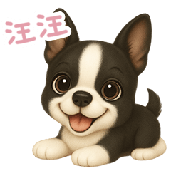 わんで伝えるボストンテリア TW