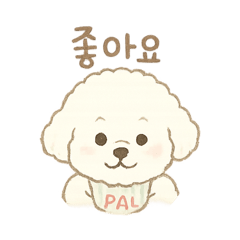 ビションフリーゼのPAL