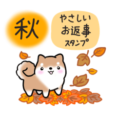 【秋】挨拶お返事✴︎まるまる豆柴スタンプ
