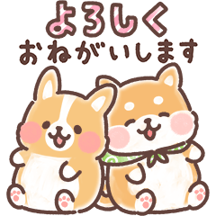 まるまるコーギーところころ柴犬