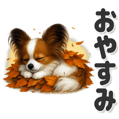 毎日使える！ゆるふわ可愛いパピヨン　秋