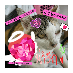 Kimmy_20251016131106