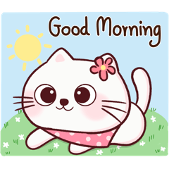 Mali : Every Day Chat