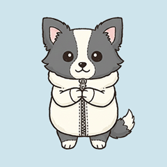 ボーダーコリーの日常（着ぐるみを着た犬）