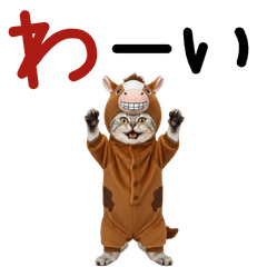 再販 一年中使える BIG アメショスタンプ