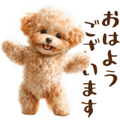 動く！ノリノリ！トイプードルの挨拶