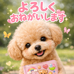 とびだす★敬語トイプー♡トイプードル/犬