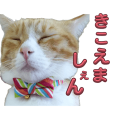 マヒロの日常2