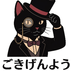 大正に生きる猫たち～日常生活～