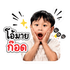 Opor_20260612012927