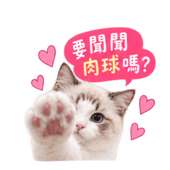 Cat LEMON LIN-2