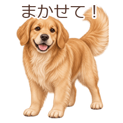 動く♪ゴールデンレトリーバー