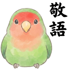 コザクラインコ【ノーマル】敬語ver.