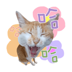 FuZhen_20200131145216